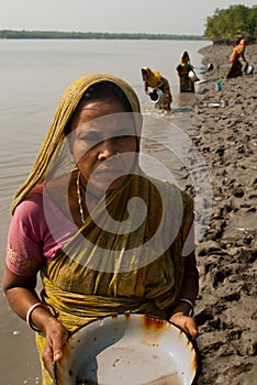 Prawn seed collection in Sunderban
